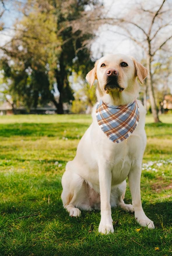 Fall Dog Bandana Autumn Thanksgiving Plaid Reversible Triangle Bibs Scarf - Image 5