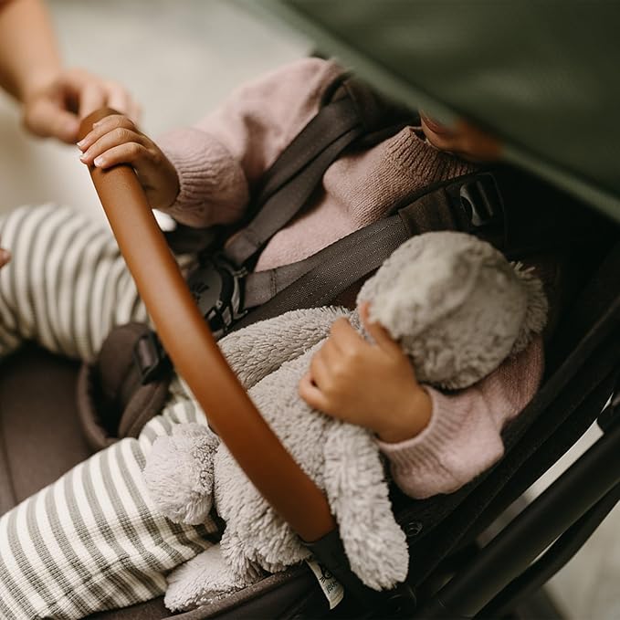 Ergobaby Metro 3 Deluxe Baby Stroller for Newborns, Infants, and Toddlers | Willow Green
