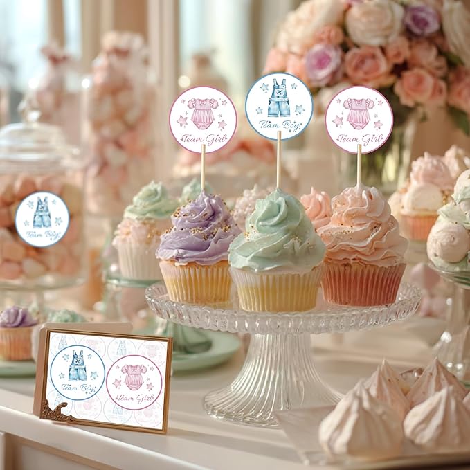 80Pcs Cute Baby Clothes Decal Stickers Roll, 2 inch Team Boy Team Girl Gender Reveal Labels, Pink and Blue Self-Adhesive Decorative Round Stickers for Brithday Baby Shower Party Supplies