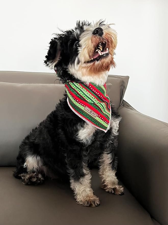 lionet paws Christmas Dog Bandana, Fabric Dogs Kerchief - Image 3