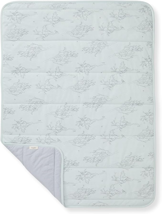 Burt's Bees Baby Organic Cotton Infant Reversible Blanket, Nursery Bedding | - Image 2