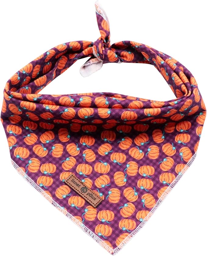 Lionet Paws Halloween Dog Bandana by lionetpaws