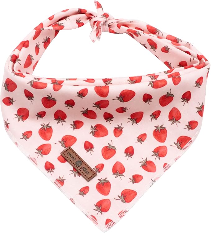 Lionet Paws Dog Bandana, Fabric Pink Dogs Kerchief by lionetpaws