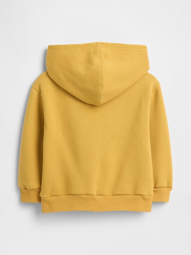 GAP Baby Boy Playtime Favorites Logo Pullover Hoodie Hooded Sweatshirt - Image 2