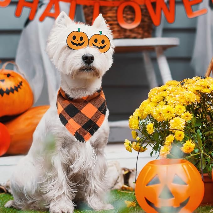 Kytely Fall Dog Bandana 2 Pack, Halloween Thanksgiving Dog Bandanas - Image 5