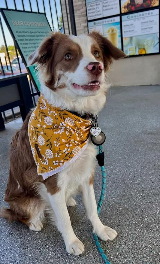 Lionet Paws Flower Dog Bandana, Fabric Yellow Dogs Kerchief - Image 2