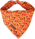 Lionet Paws Fall Dog Bandana for Small Medium Large Dogs, Cat Dog Kerchief by lionetpaws