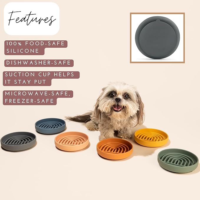 Should We Go? Slow Feeder for Dogs & Cats, The Slowdown Bowl Silicone Slow Eating Mealtime Solution with Modern Lick Mat Design, Reduces Gulping, Fits 1 Cup, 6” Across x 1.25” Tall, Small-Charcoal