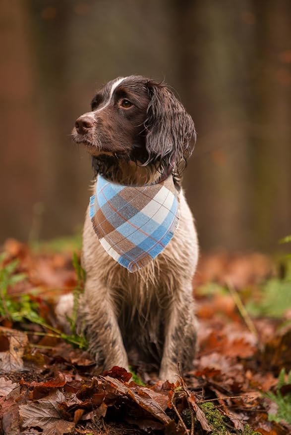 Fall Dog Bandana Autumn Thanksgiving Plaid Reversible Triangle Bibs Scarf - Image 5