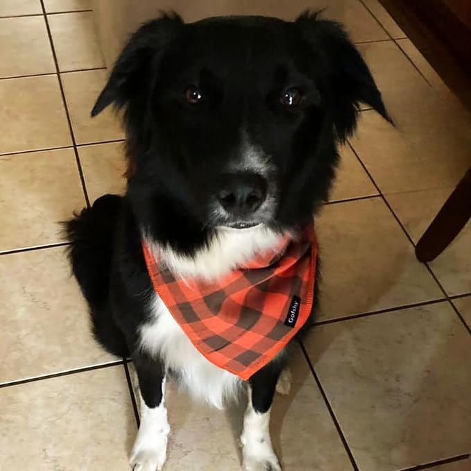 Fall Dog Bandana Large Cotton - Image 5