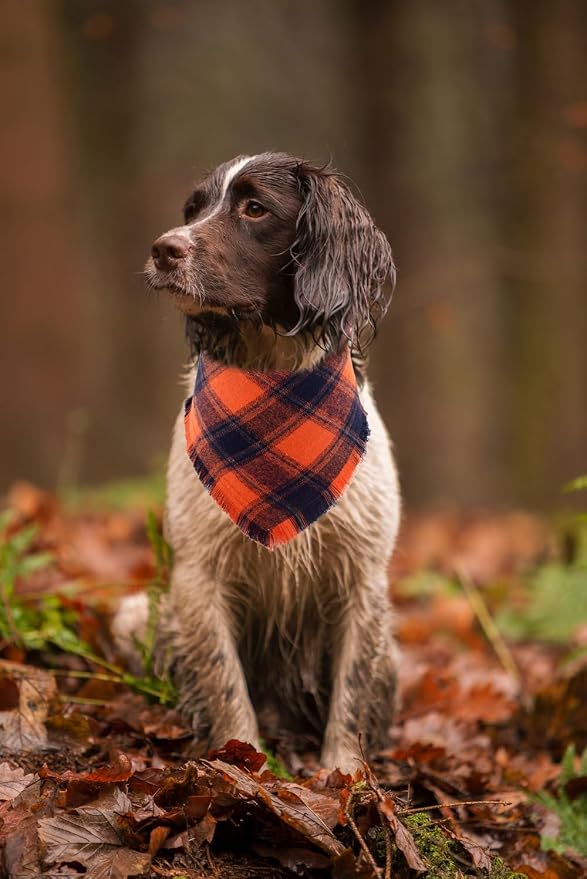 Halloween Dog Bandana Fall Autumn Plaid Reversible Triangle Bibs Scarf - Image 5