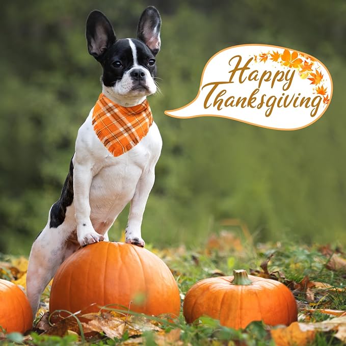 Kytely Fall Dog Bandana 2 Pack, Halloween Thanksgiving Dog Bandanas - Image 8