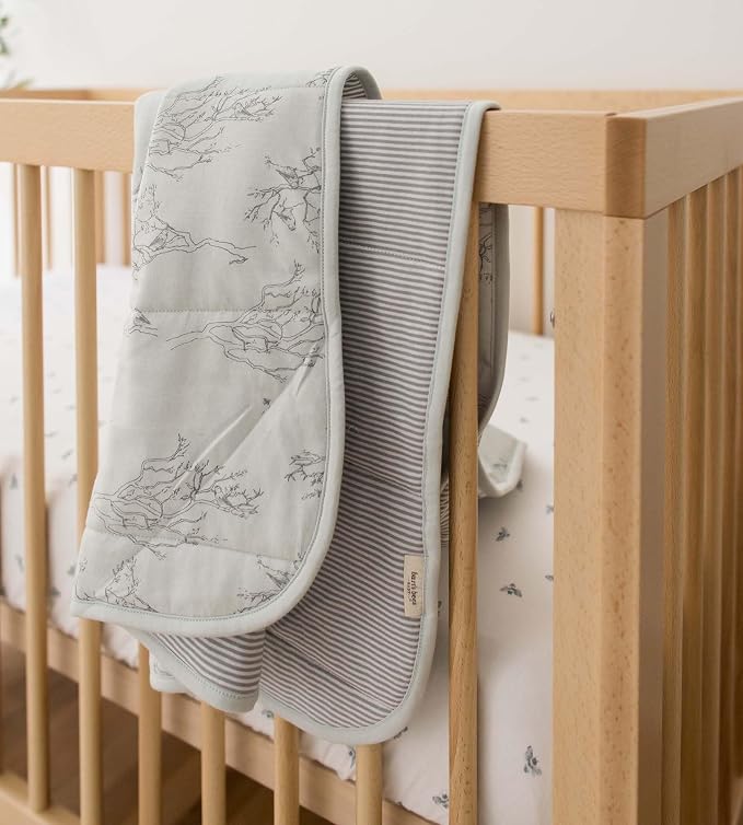 Burt's Bees Baby Organic Cotton Infant Reversible Blanket, Nursery Bedding | - Image 3