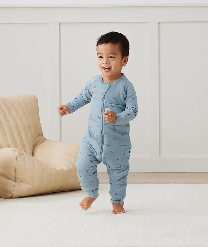 ergoPouch 2.5 TOG Sleeping Bag – Breathable, Cozy Sleepwear for Boys and Girls (12-24 Months, Dragonflies)