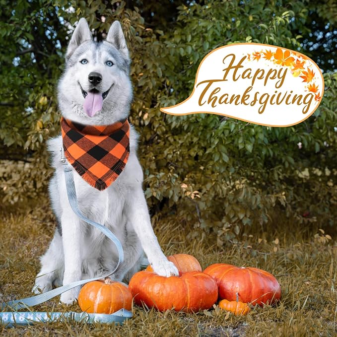 Kytely Dog Bandanas Fall Thankgiving XLarge 2Pack, Plaid Pet Scarf - Image 8