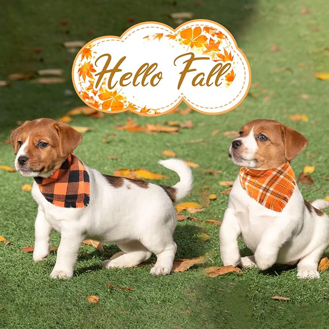 Kytely Fall Dog Bandana 2 Pack, Halloween Thanksgiving Dog Bandanas - Image 7