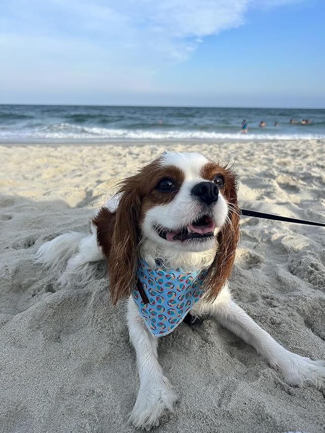 Lionet Paws Dog Bandana, Fabric Summer Dogs Kerchief - Image 2