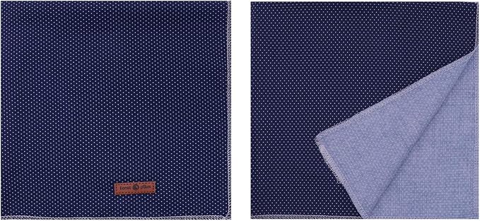 Lionet Paws Dog Bandana for Small Medium Large Dogs, Cat Kerchief Blue DOIT - Image 5