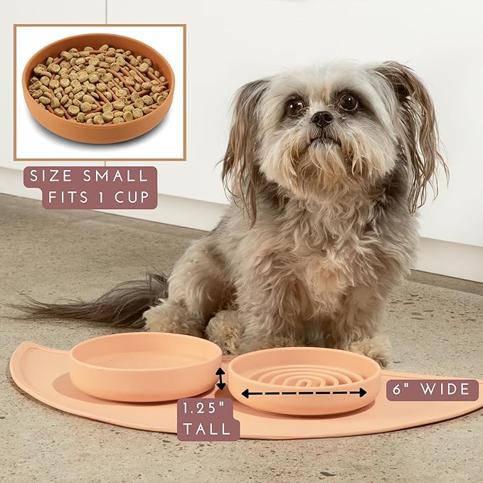 Should We Go? Slow Feeder for Dogs & Cats, The Slowdown Bowl Silicone Slow Eating Mealtime Solution with Modern Lick Mat Design, Reduces Gulping, Fits 1 Cup, 6” Across x 1.25” Tall, Small-Spruce