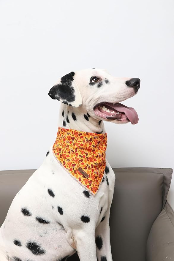 Lionet Paws Fall Dog Bandana for Small Medium Large Dogs, Cat Dog Kerchief - Image 4