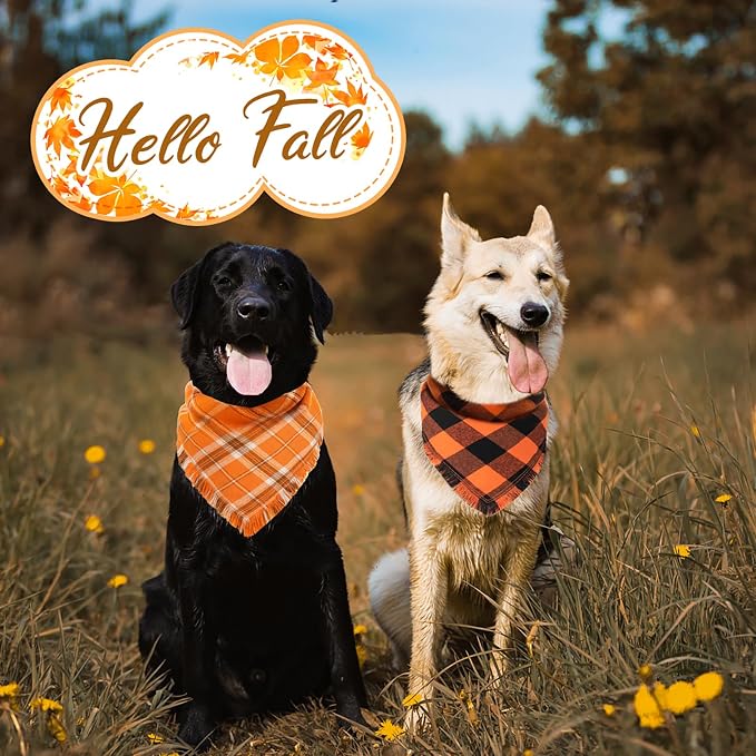 Kytely Fall Dog Bandana, Large Autumn Bandanas 2Pack - Image 8
