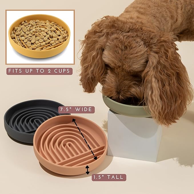 Should We Go? Slow Feeder for Dogs & Puppies, The Slowdown Bowl Silicone Slow Eating Modern Lick Mat Design, Reduces Gulping, Fits 2 Cups 7.5” Across x 1.5” Tall, Mealtime Challenge, Medium-Terracotta