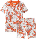 Butterblu Shade Snug-fit 2-Piece Short Sleeve PJs 100% Organic Cotton by Butterblu