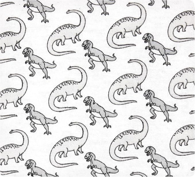 Hudson Baby Unisex Baby Cotton Flannel Receiving Blankets Bundle, Neutral Dino - Image 5