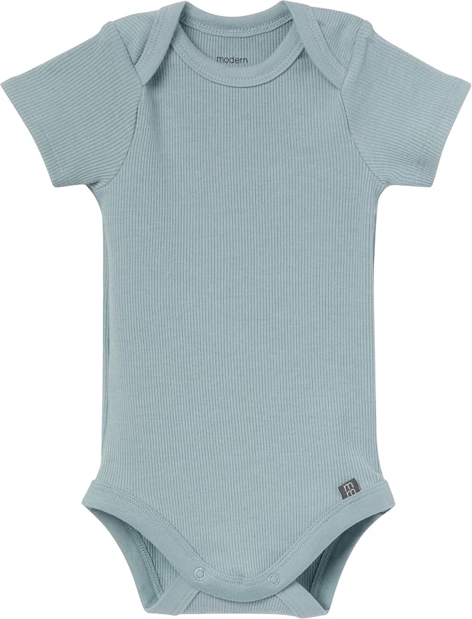 Modern Moments by Gerber Baby 4-Pack Short Sleeve Bodysuits & Shortie Set - Image 2