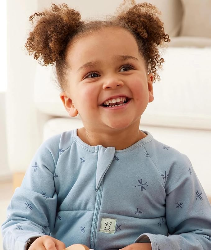 ergoPouch 2.5 TOG Sleeping Bag – Breathable, Cozy Sleepwear for Boys and (2-3 Years, Dragonflies)
