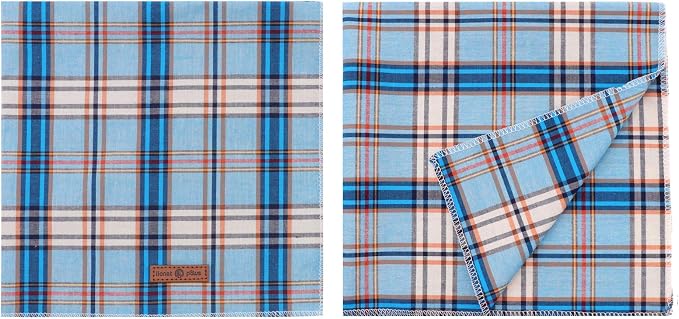 Lionet Paws Dog Bandana for Small Medium Large Dogs, Cat Kerchief Blue Plaid - Image 5