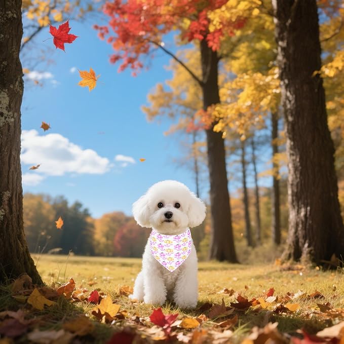 7 PCS Fall Dog Bandanas for Small Dogs 18 Inch Autumn Dog Bandanas Adjustable - Image 6