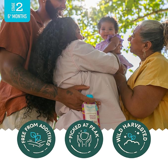 Babylife Organics Stage 2 - Plum, Pear, Strawberry & Banana, 3.5 Ounce Pouch (6 Pack) - Heavy Metal Safe, Organic Baby Food