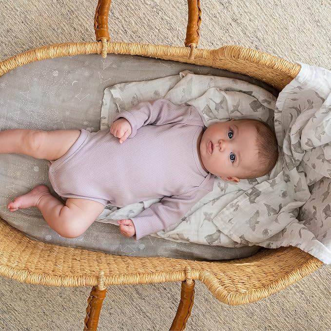 aden + anais Boutique Organic Swaddle Blanket 4-Pack – 100% Organic Cotton - Image 2