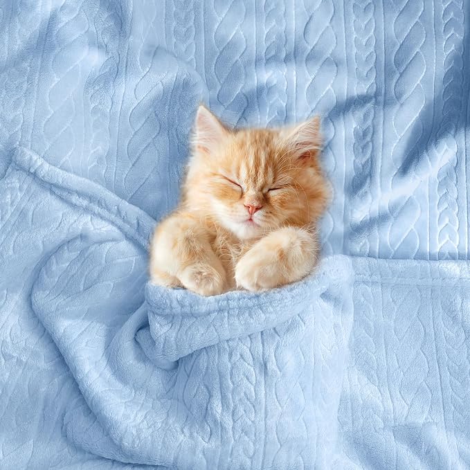 BORITAR 3D Fleece Baby Blanket for Boys 30 x 40 Inch Baby Blue | Soft Fluffy - Image 7