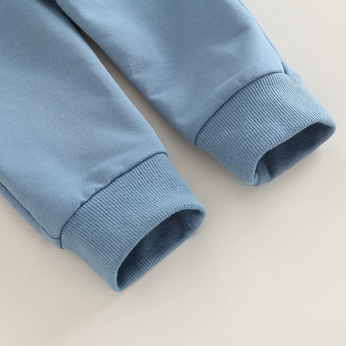 Toddler Baby Boy Clothes Solid Color Long Sleeve Crewneck Sweatshirt Top Casual Pants Set 2Pcs Fall Winter Outfits