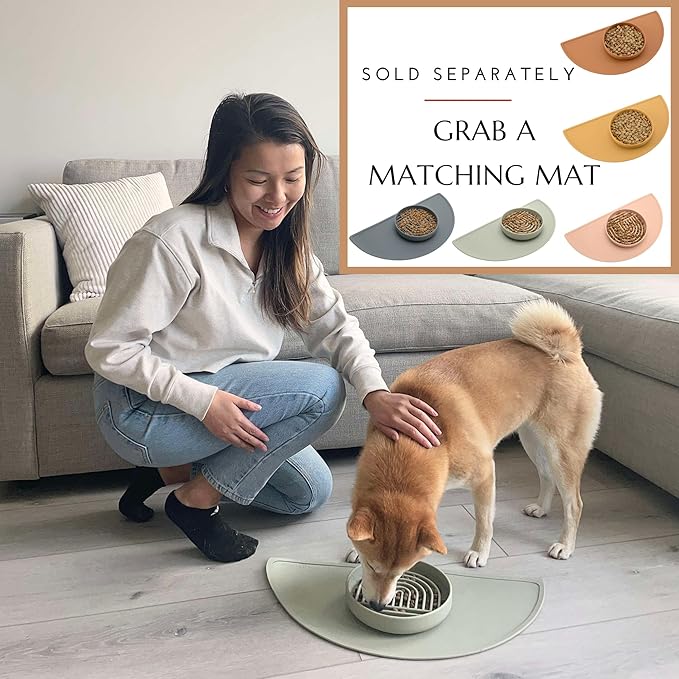 Should We Go? Slow Feeder for Dogs & Cats, The Slowdown Bowl Silicone Slow Eating Mealtime Solution with Modern Lick Mat Design, Reduces Gulping, Fits 1 Cup, 6” Across x 1.25” Tall, Small-Charcoal