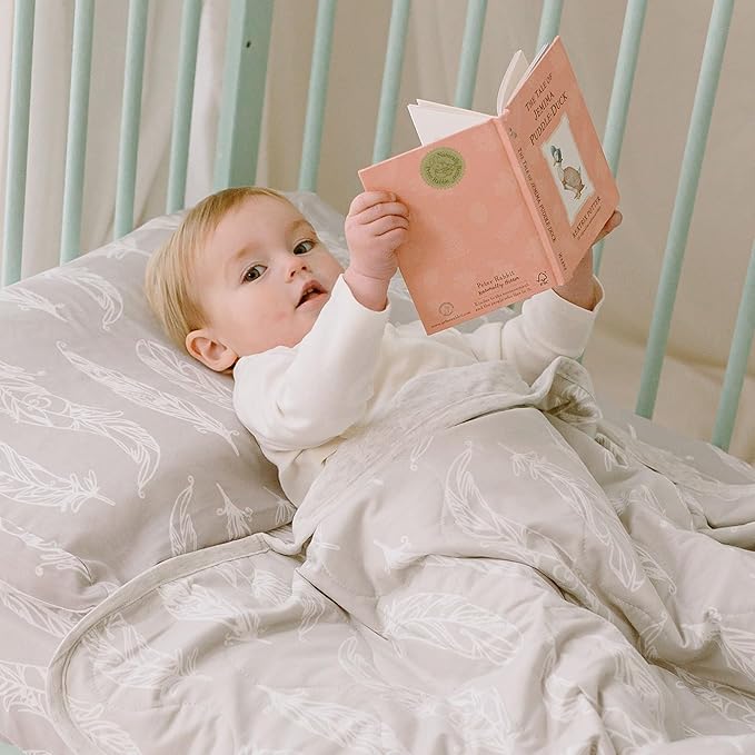 Nest Designs Toddler Pillow with Bamboo Viscose Pillowcase - Feather Grey, Medium