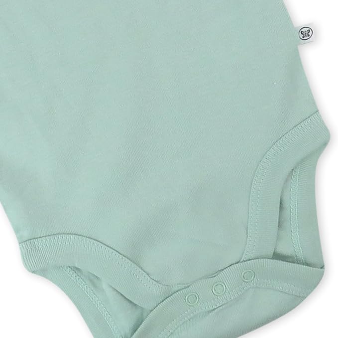HonestBaby 5-pack Short Sleeve Bodysuits One-piece 100% Organic Cotton - Image 5