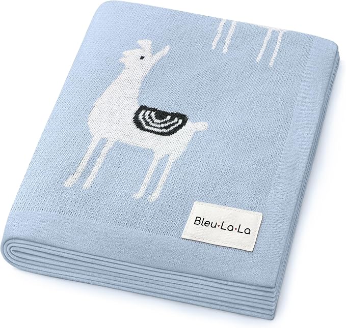 Baby Receiving Swaddle Stroller Blanket by BleuLaLa