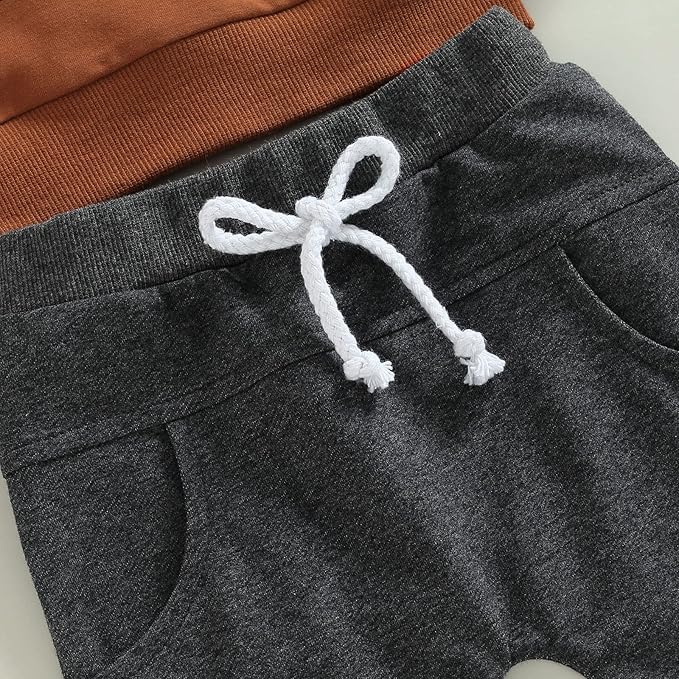 Toddler Baby Boy Clothes Solid Color Long Sleeve Crewneck Sweatshirt Top Casual Pants Set 2Pcs Fall Winter Outfits