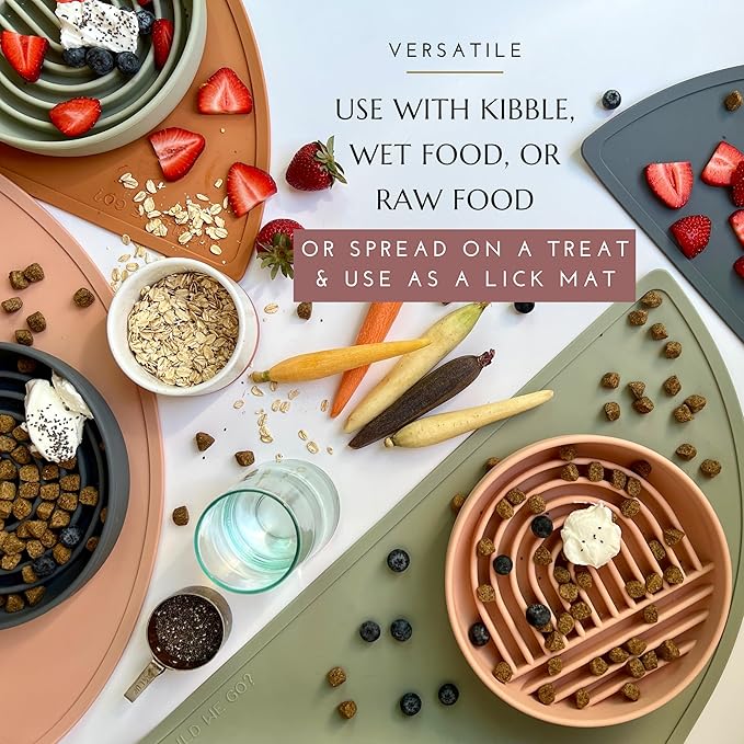 Should We Go? Slow Feeder for Dogs & Puppies, The Slowdown Bowl Silicone Slow Eating, Modern Lick Mat Design, Reduces Gulping, Fits 2 Cups, 7.5” Across x 1.5” Tall, Mealtime Challenge, Medium-Charcoal